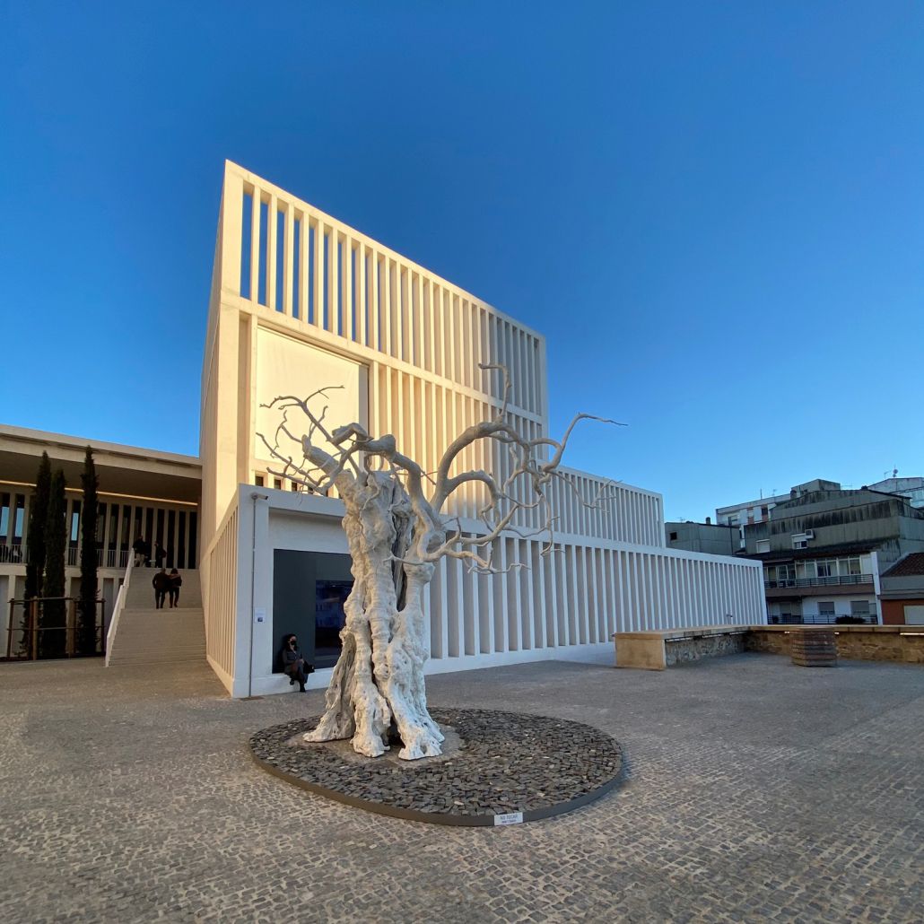 museo-helga-alvear-cc-02-1030x1030